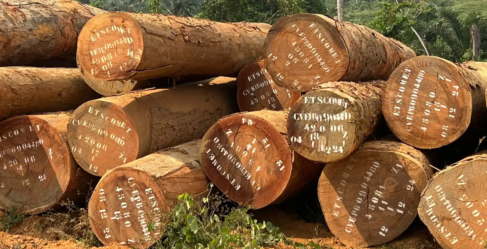 azobe deatil pge wood